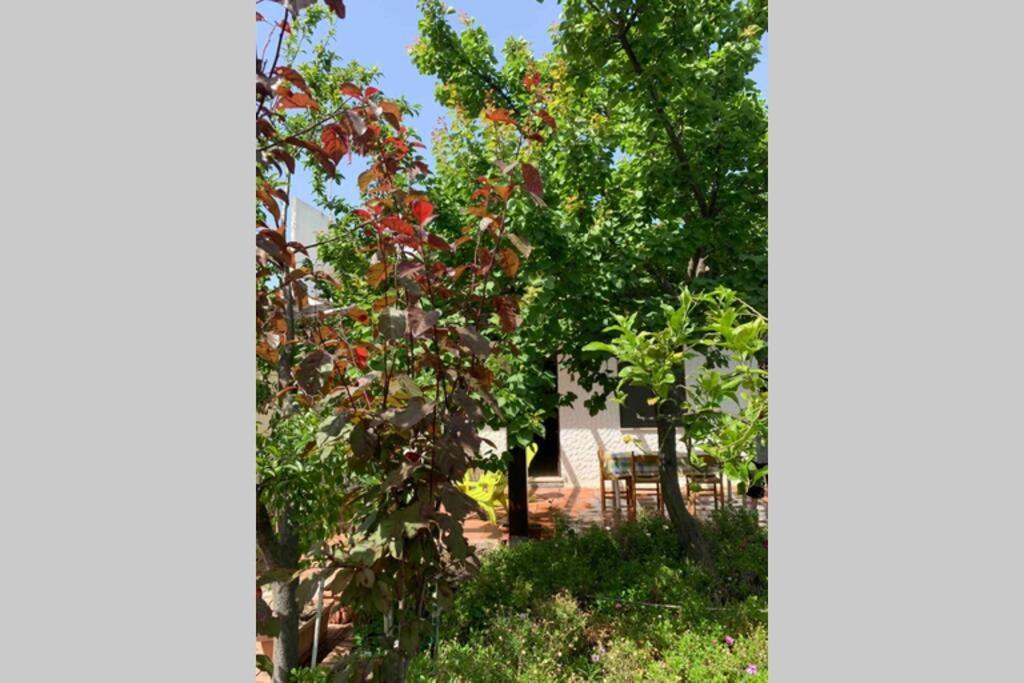 Casa Tranquilla A Pochissimi Passi Dal Mare Βίλα Sant'Andrea  Εξωτερικό φωτογραφία