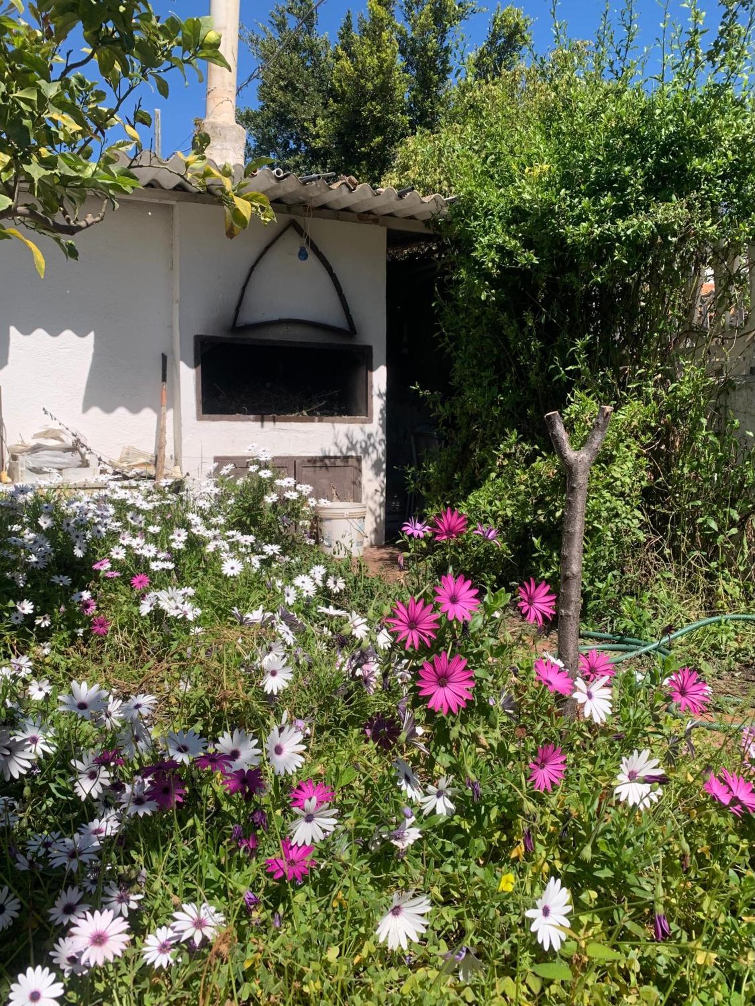 Casa Tranquilla A Pochissimi Passi Dal Mare Βίλα Sant'Andrea  Εξωτερικό φωτογραφία